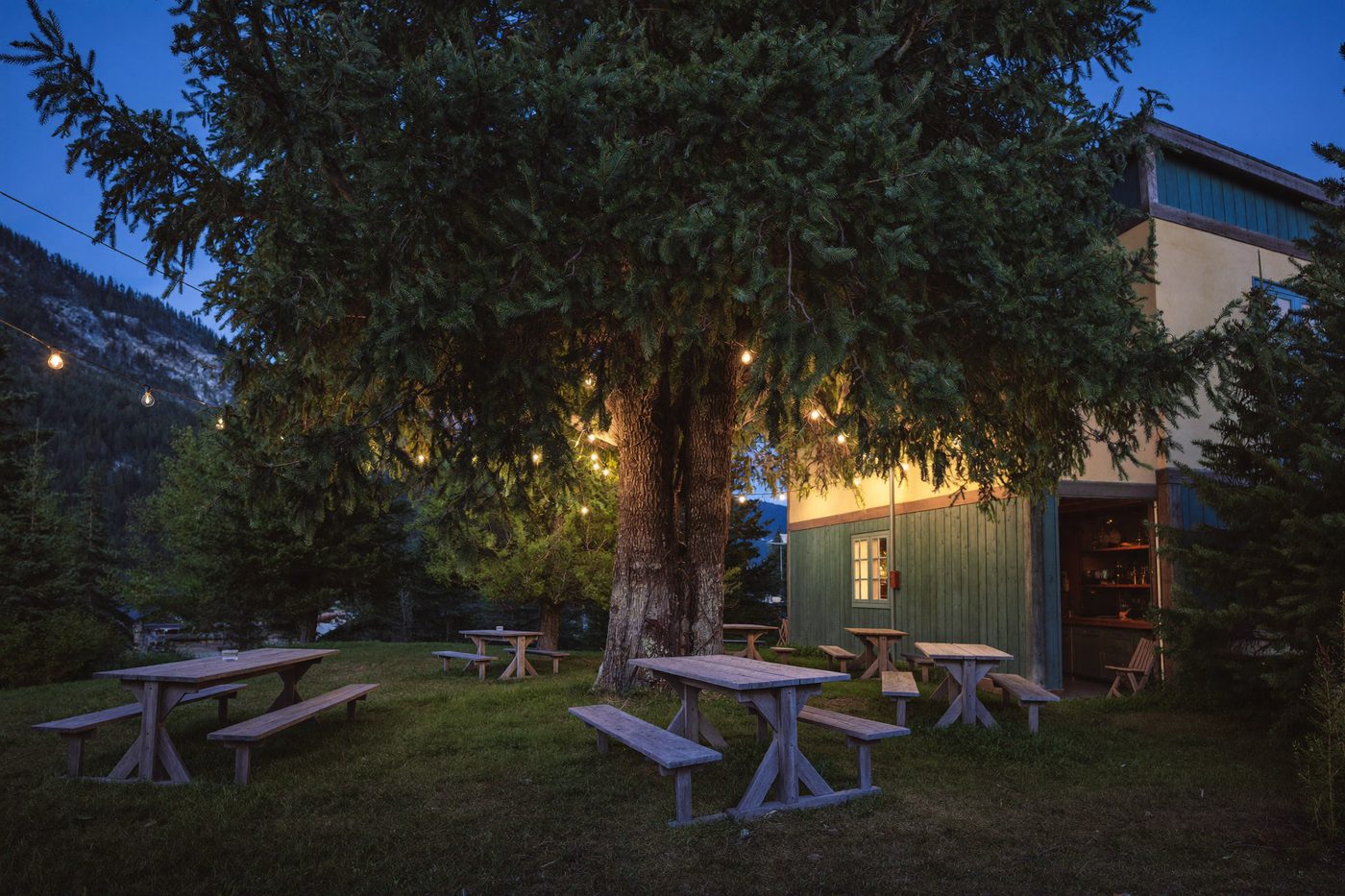 Biergarten unter der Linde