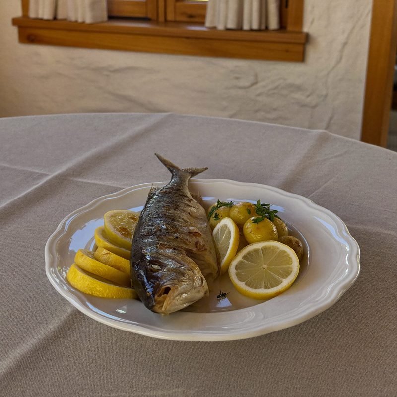 Fisch aus dem See